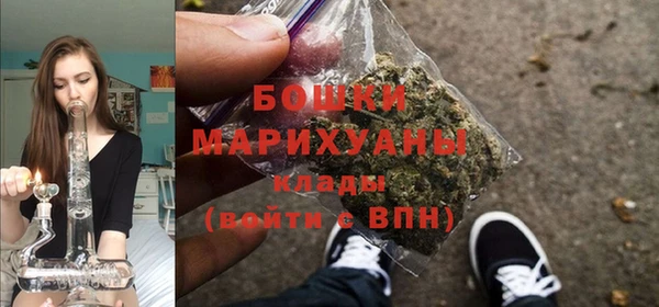 ECSTASY Белокуриха